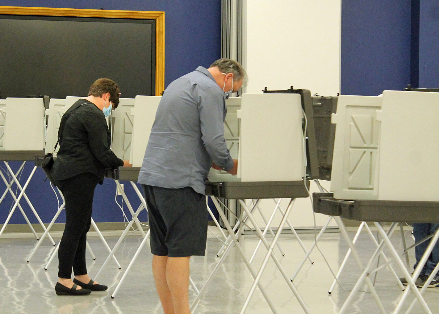 Spring Election Day